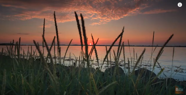 ما الهدف من الحياة؟